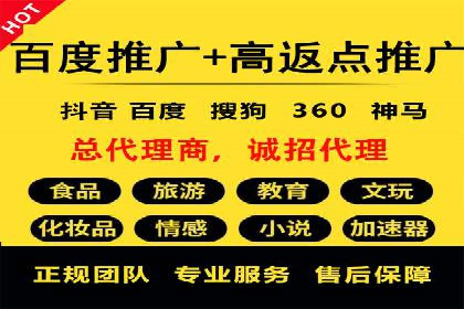 案例分享：SEM推广助力电商快速崛起